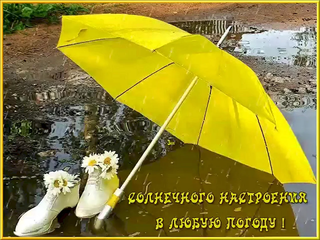Хорошего настроения в дождливую погоду