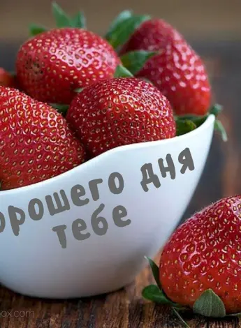 Хороший день