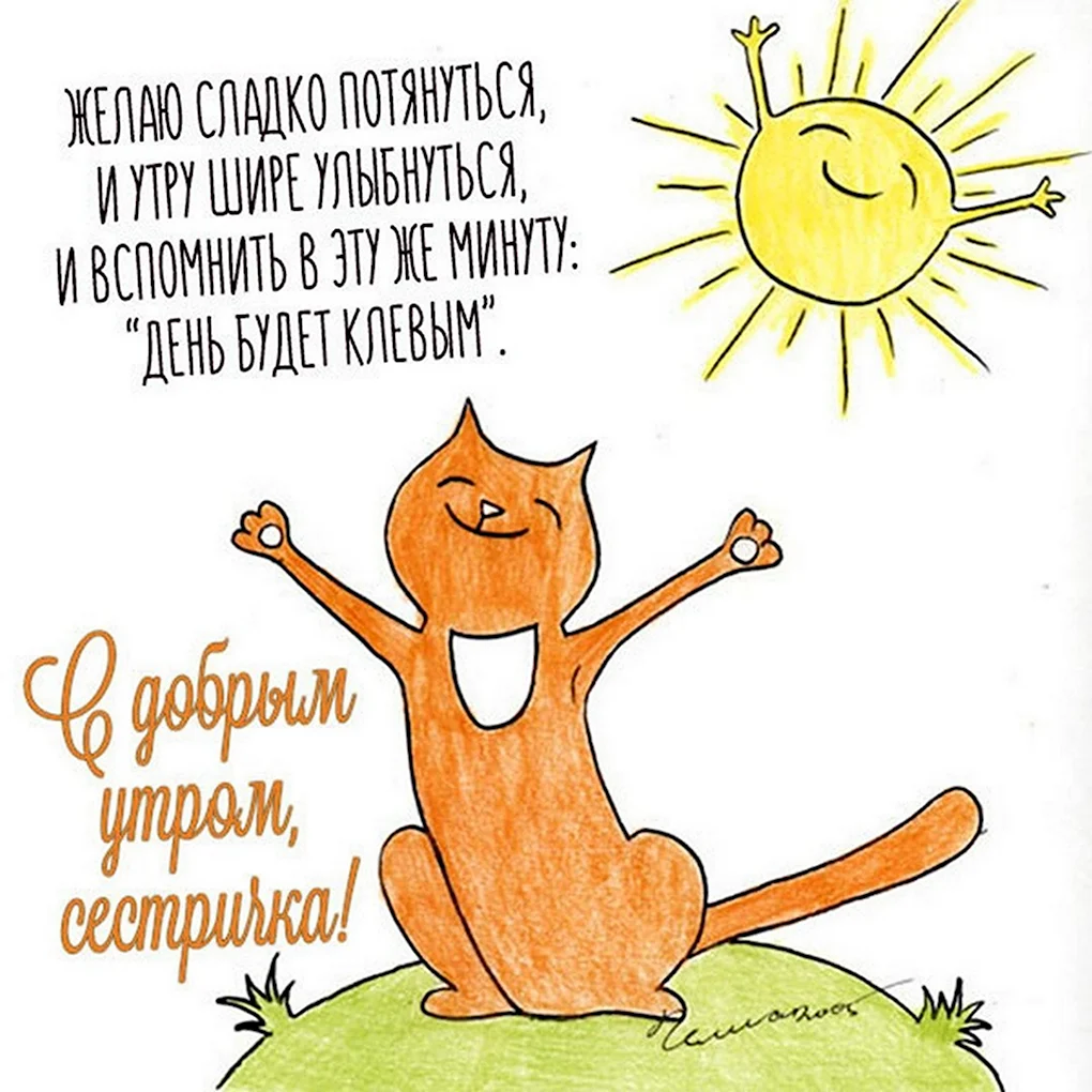 Котя солнышко