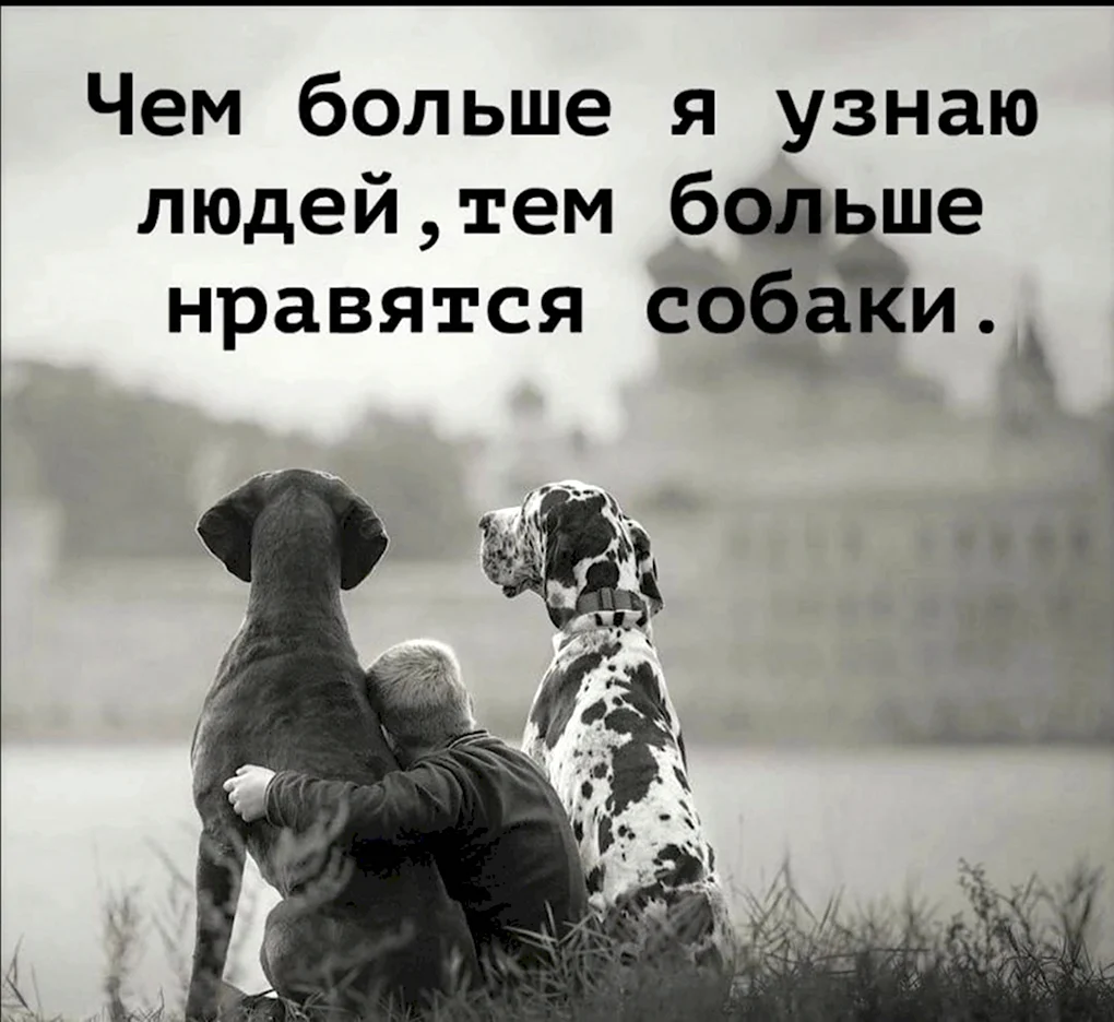 Красивые афоризмы