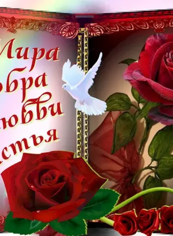 Красивые открытки