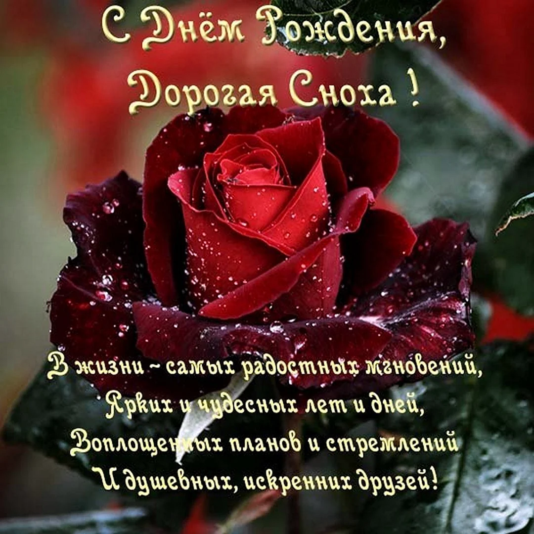 Красивые поздравления с днем рождения
