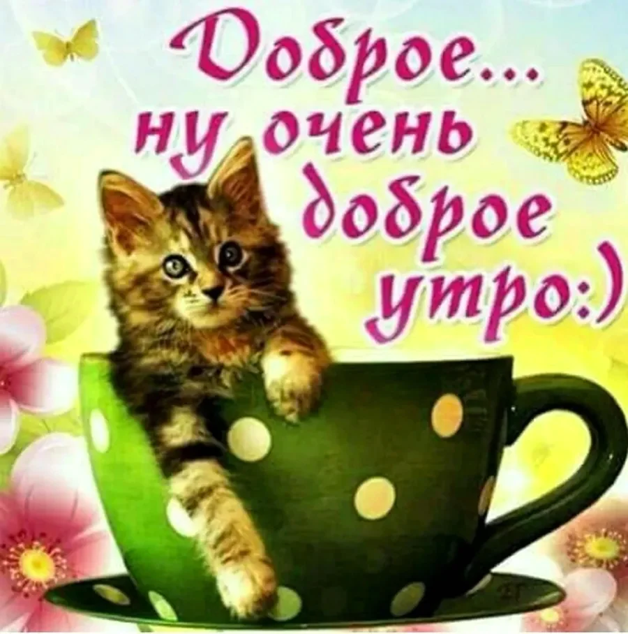 Красивые пожелания с добрым утром