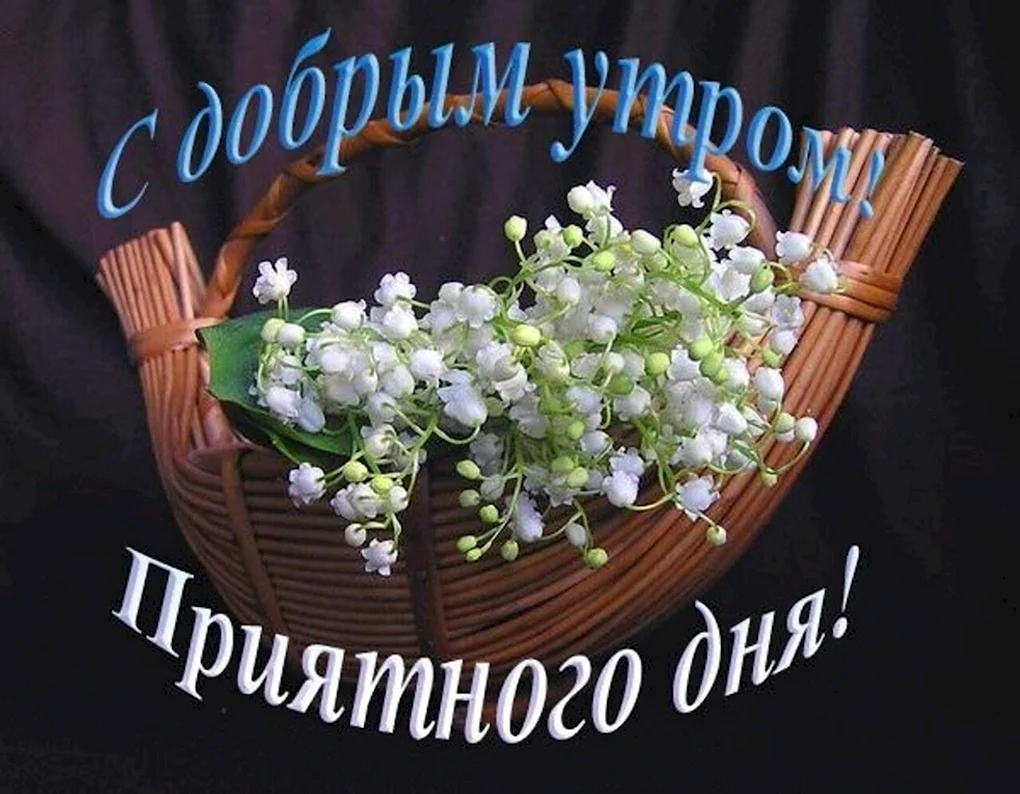 Красивые пожелания с добрым утром