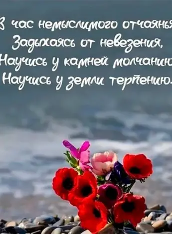 Красивые слова про жизнь