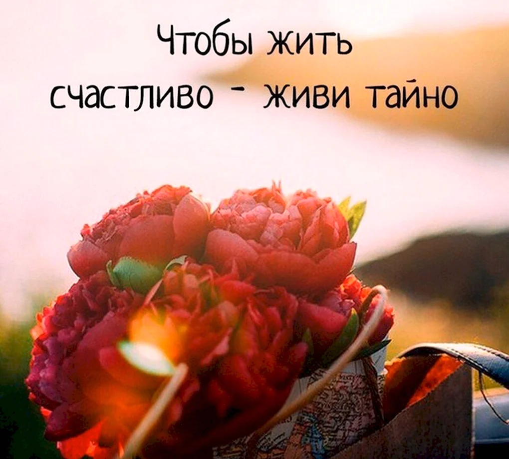 Красивые цитаты
