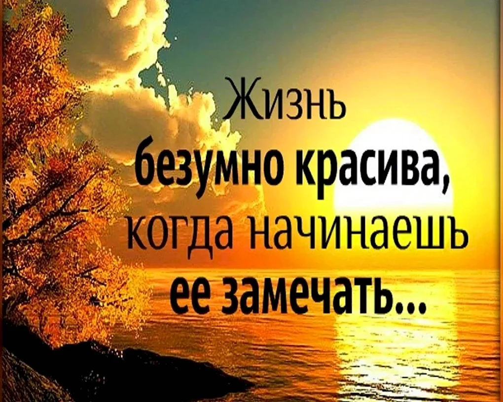 Красивые цитаты