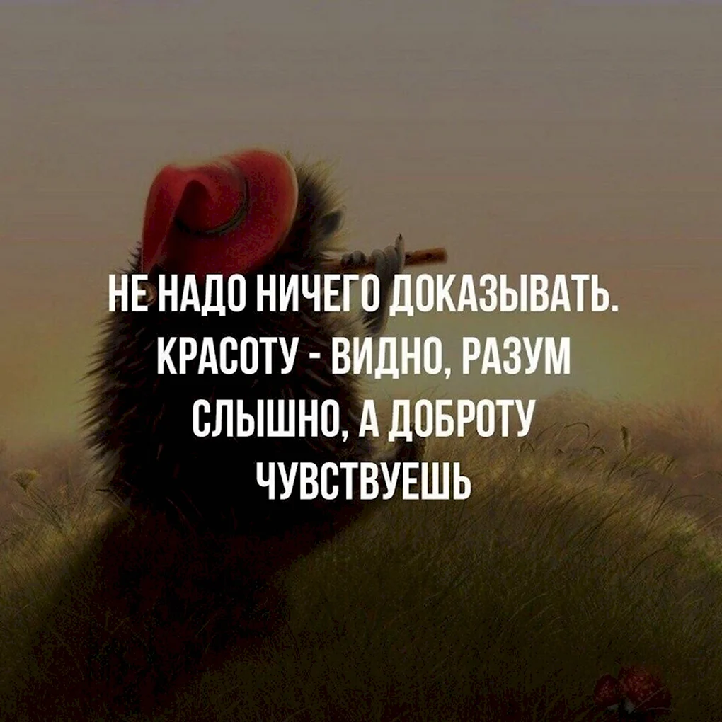 Красивые цитаты