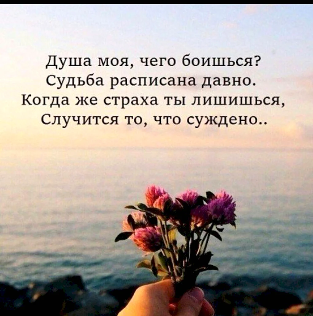 Красивые цитаты