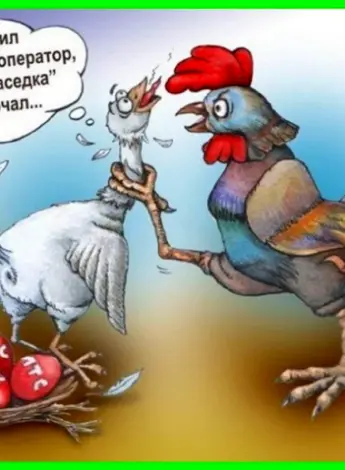 Куры карикатура