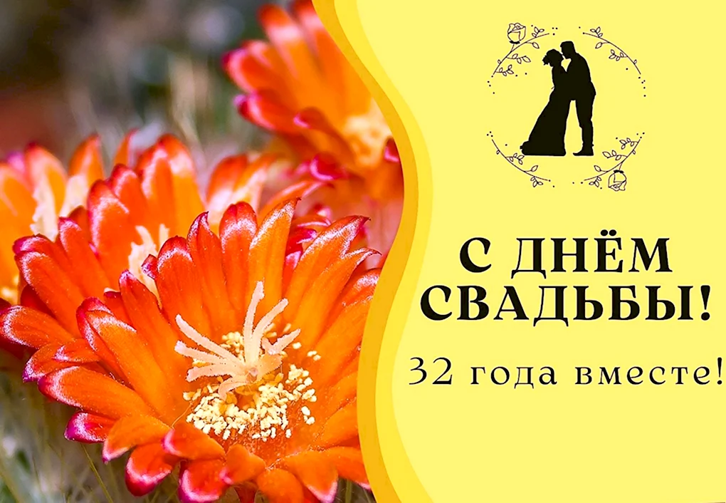 Медная свадьба 32 года