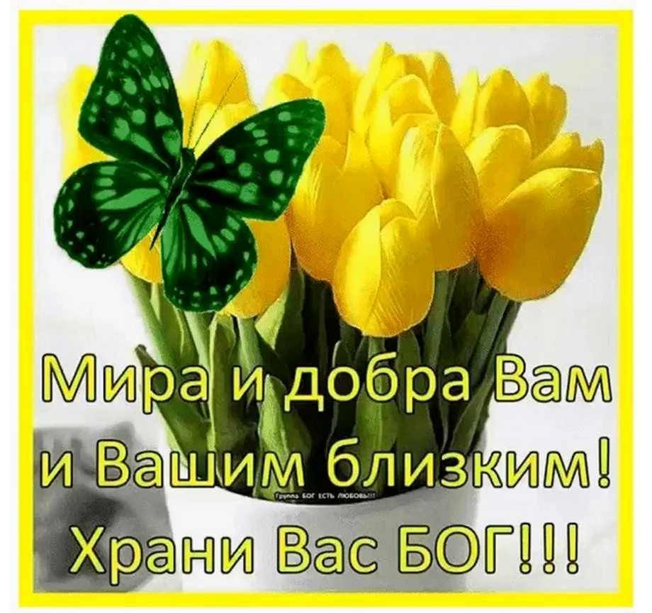 Мира и добра вам и вашим близ