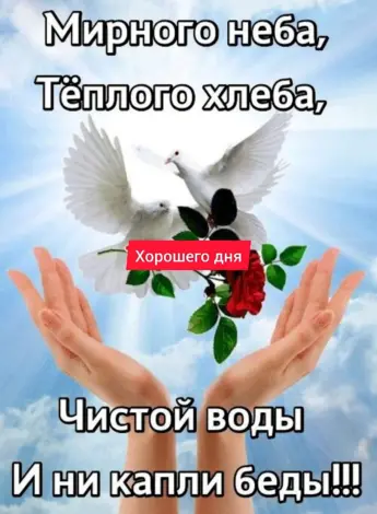 Мирного неба теплого хлеба чистой воды