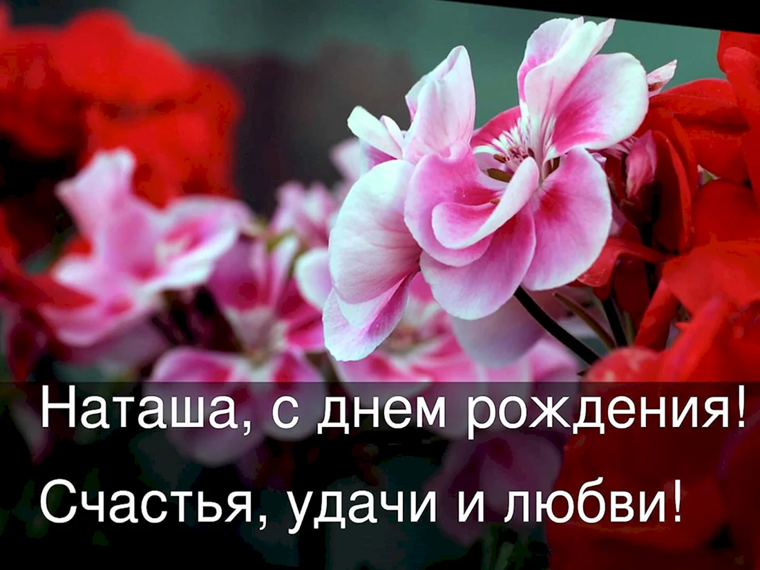 Наьаша с днём рождения