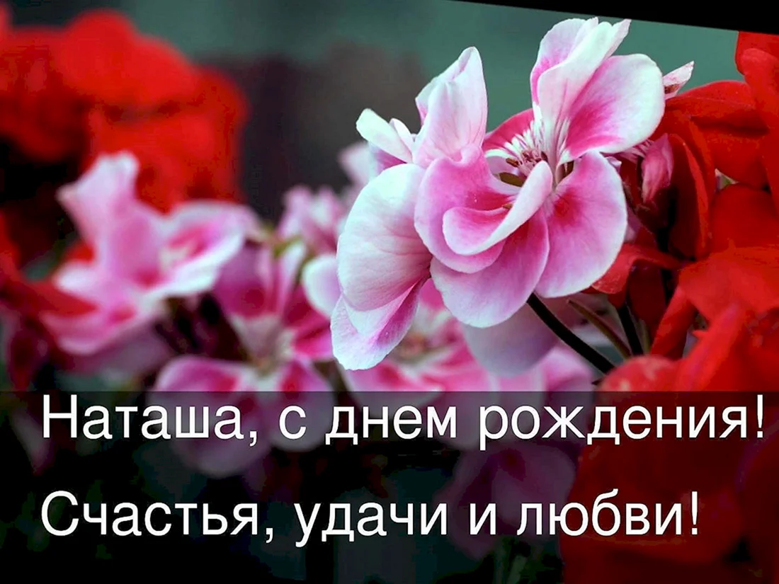 Наьаша с днём рождения