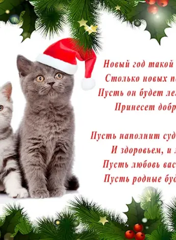 Новогодние открытки с котиками