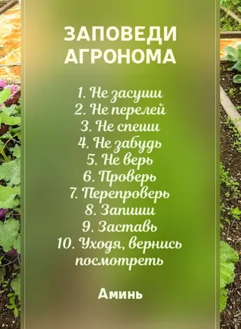 Огород