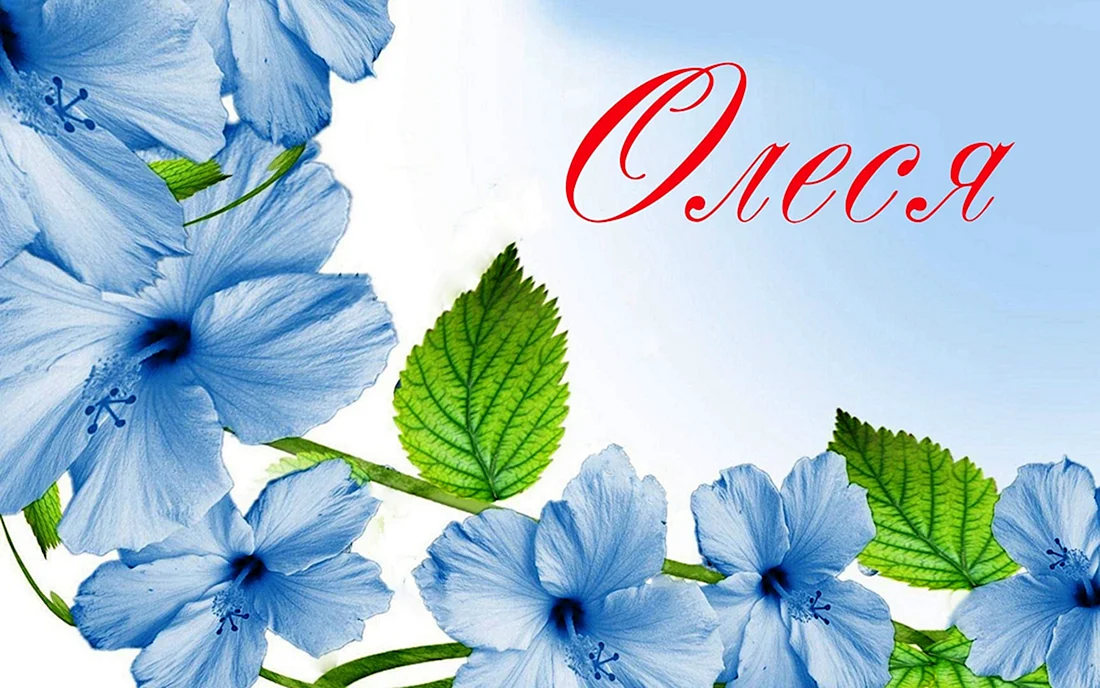 Олеся имя
