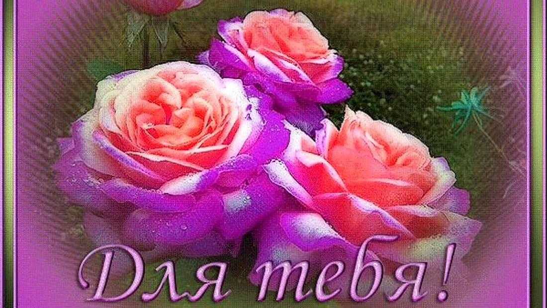 Открытка для тебя