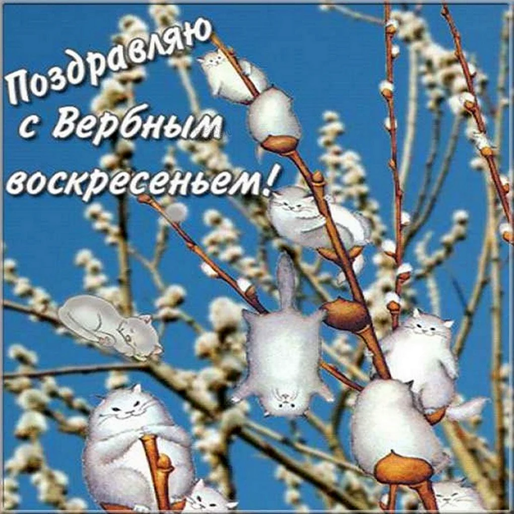 Открытка с вербныи воскресенье