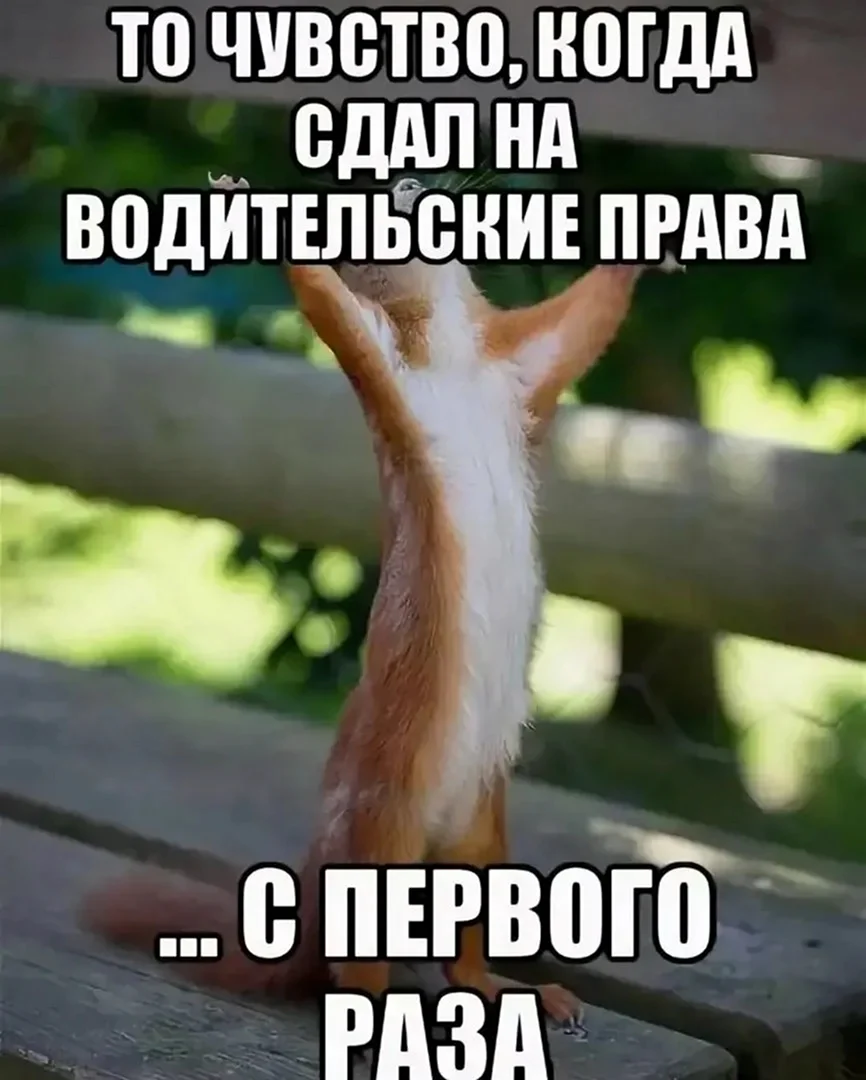 Открытка со сдачей экзамена на права