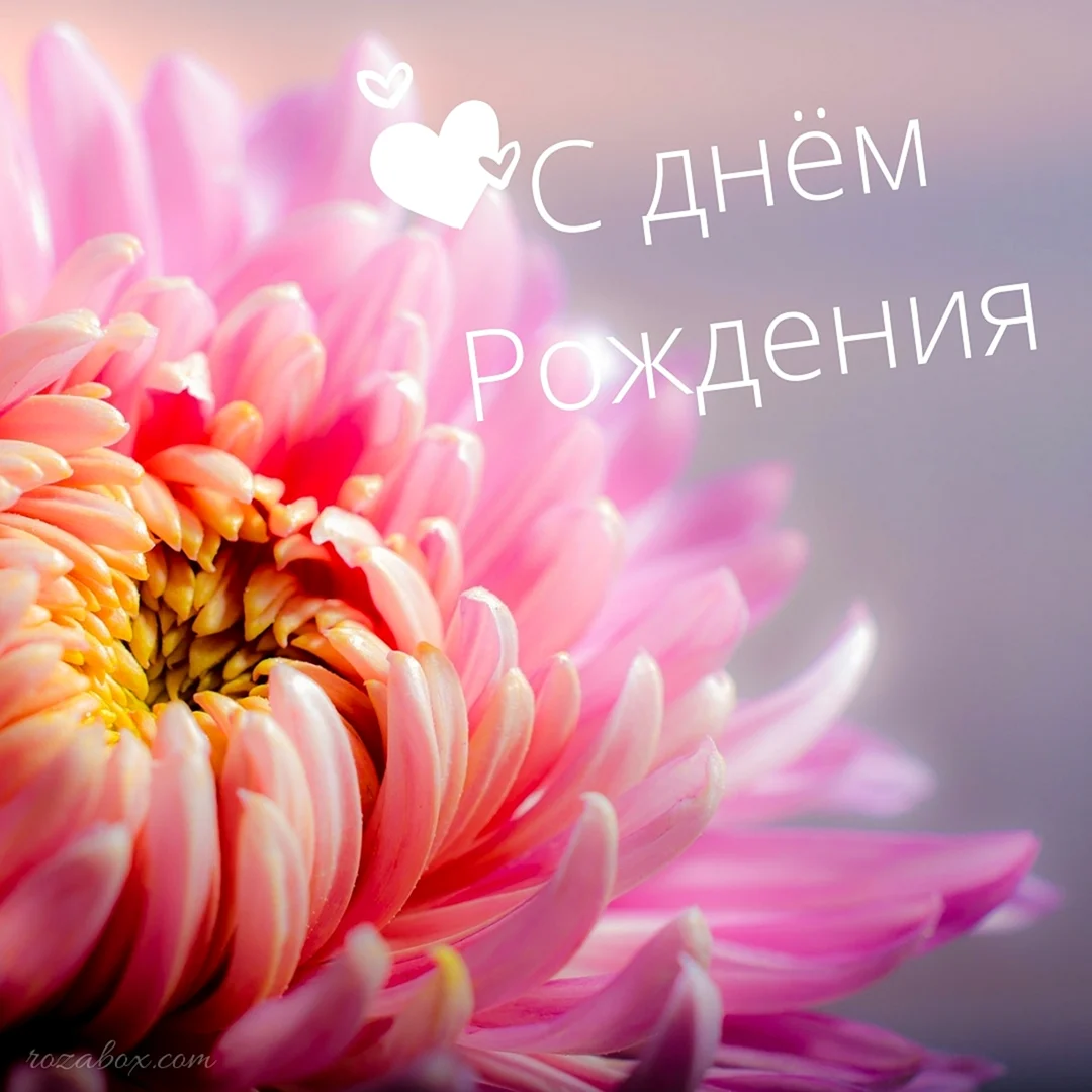 Открытка цветы