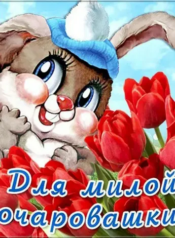 Открытки