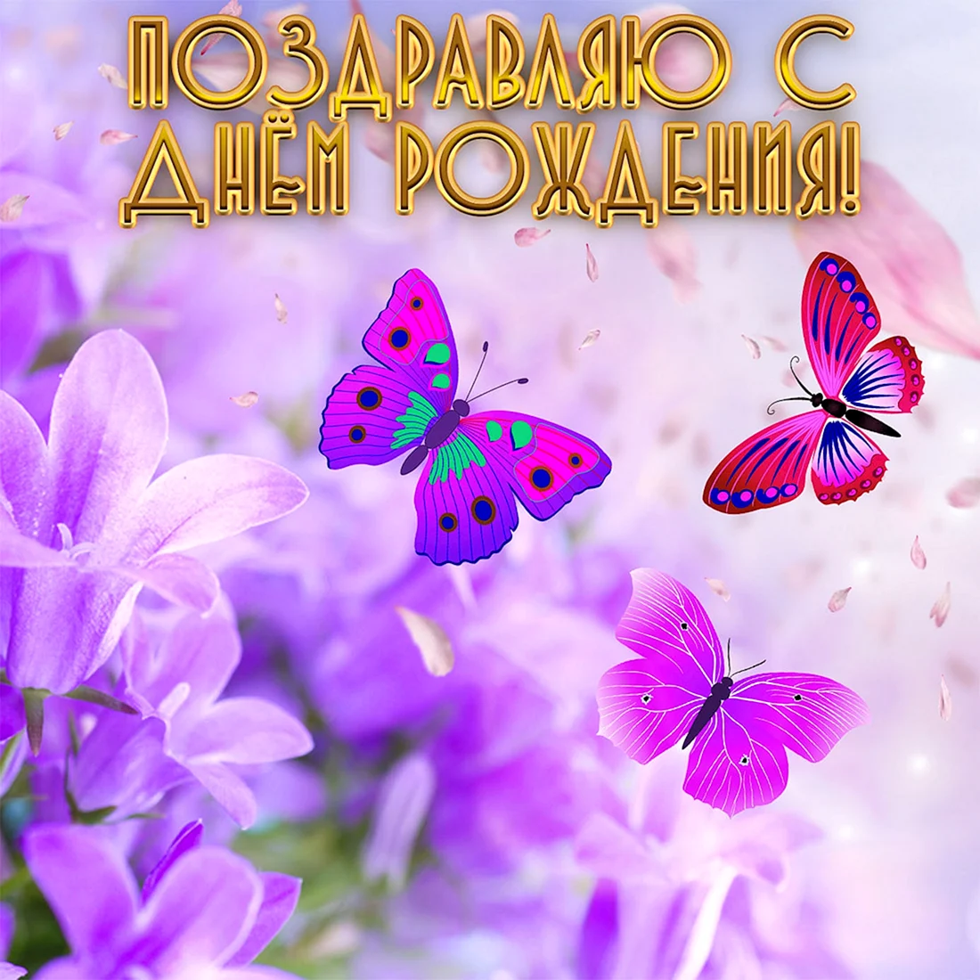 Открытки