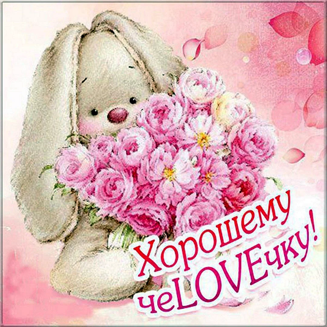 Открытки