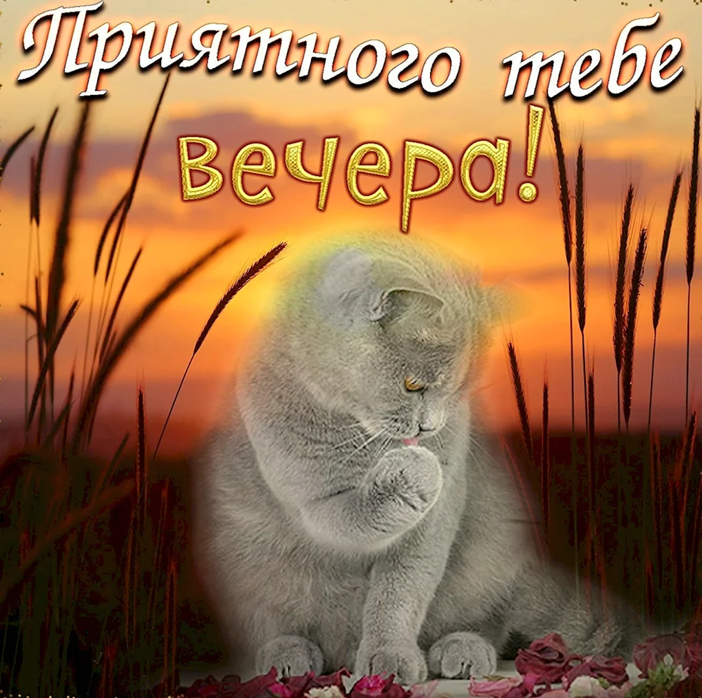 Открытки добрый вечер