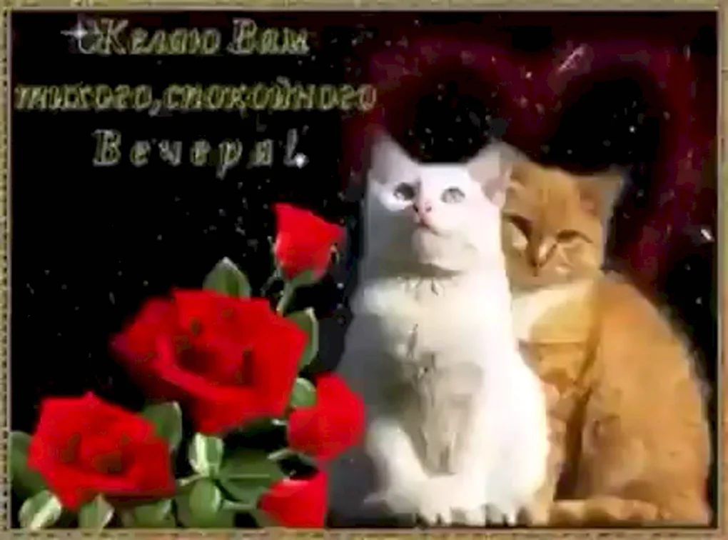 Открытки добрый вечер