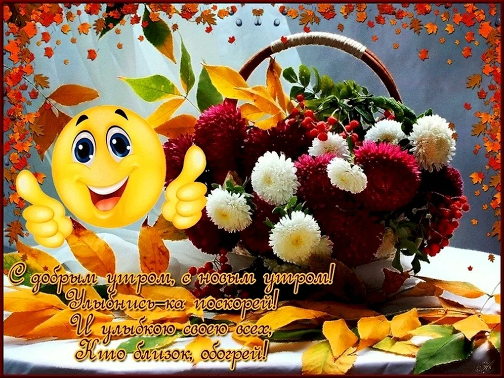 Открытки прекрасного дня и отличного настроения