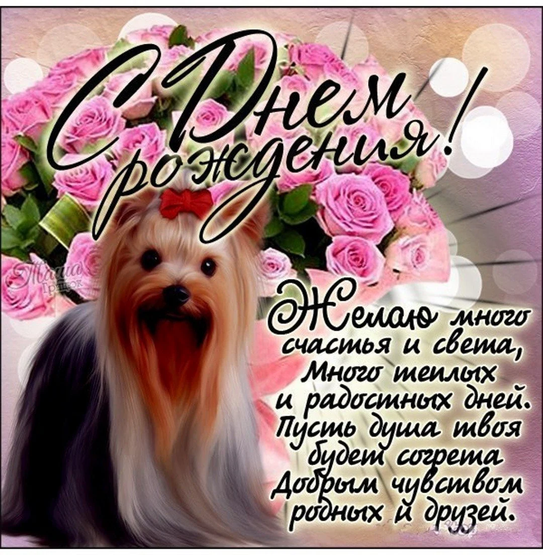 Открытки с днём рождения девушке с Йорком