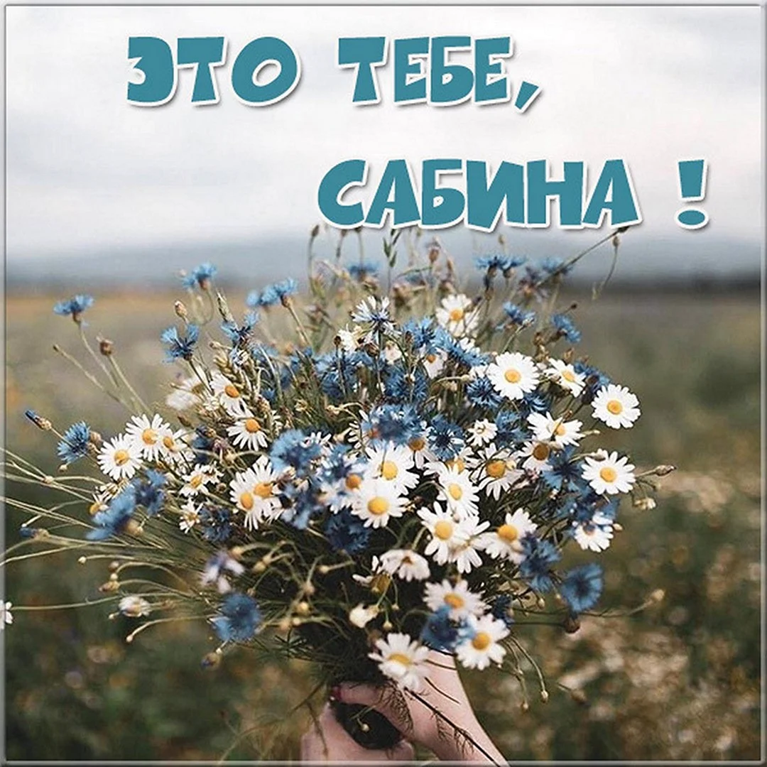Открытки с днём рождения с именем Сабина