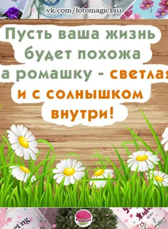 Открытки с днём рождения с ромашками