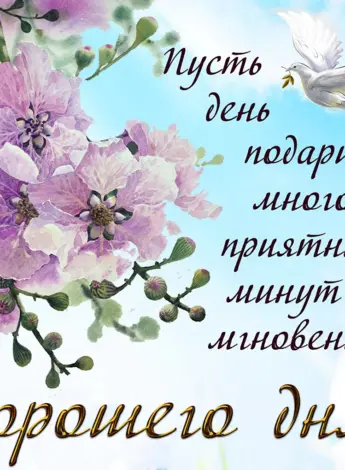 Открытки с добрым днём