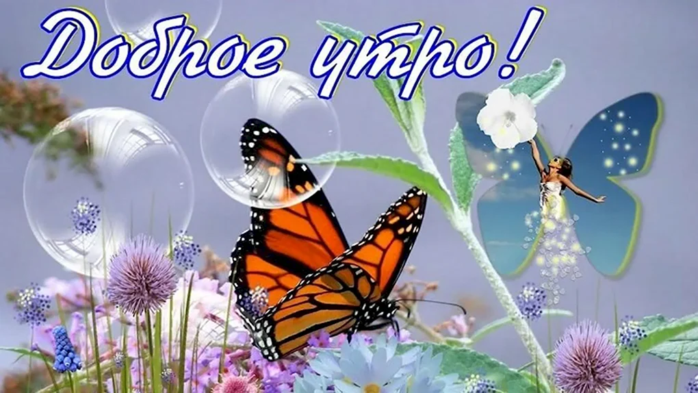 Открытки с добрым днём красивые летние