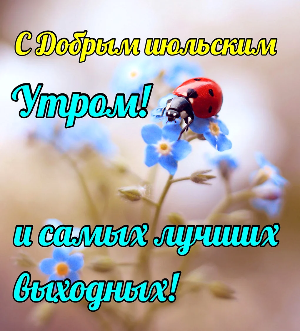 Открытки с добрым июльским утром и хорошим днем