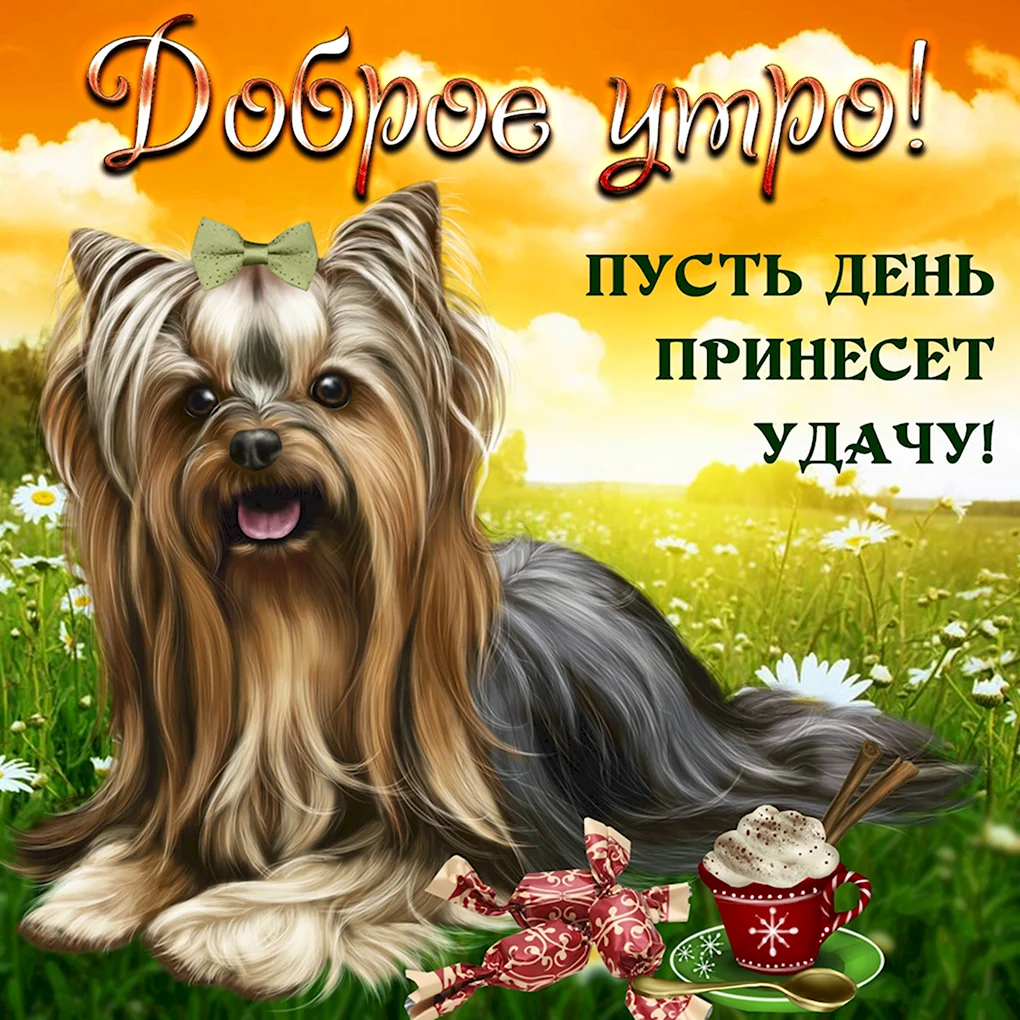 Открытки с добрым утром