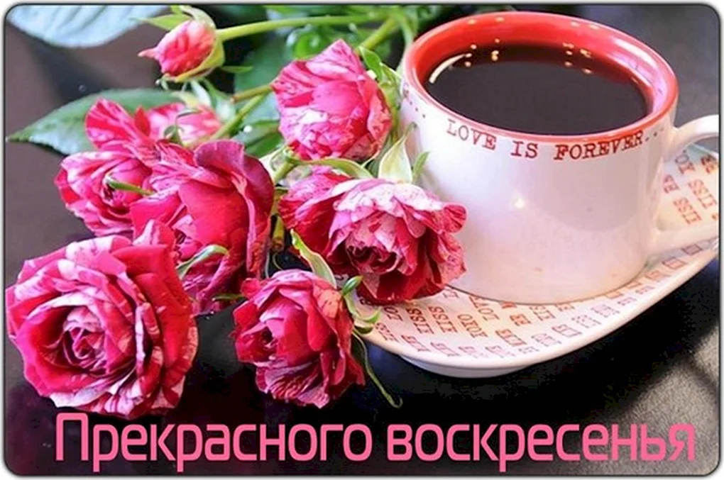 Открытки с добрым утром красивые