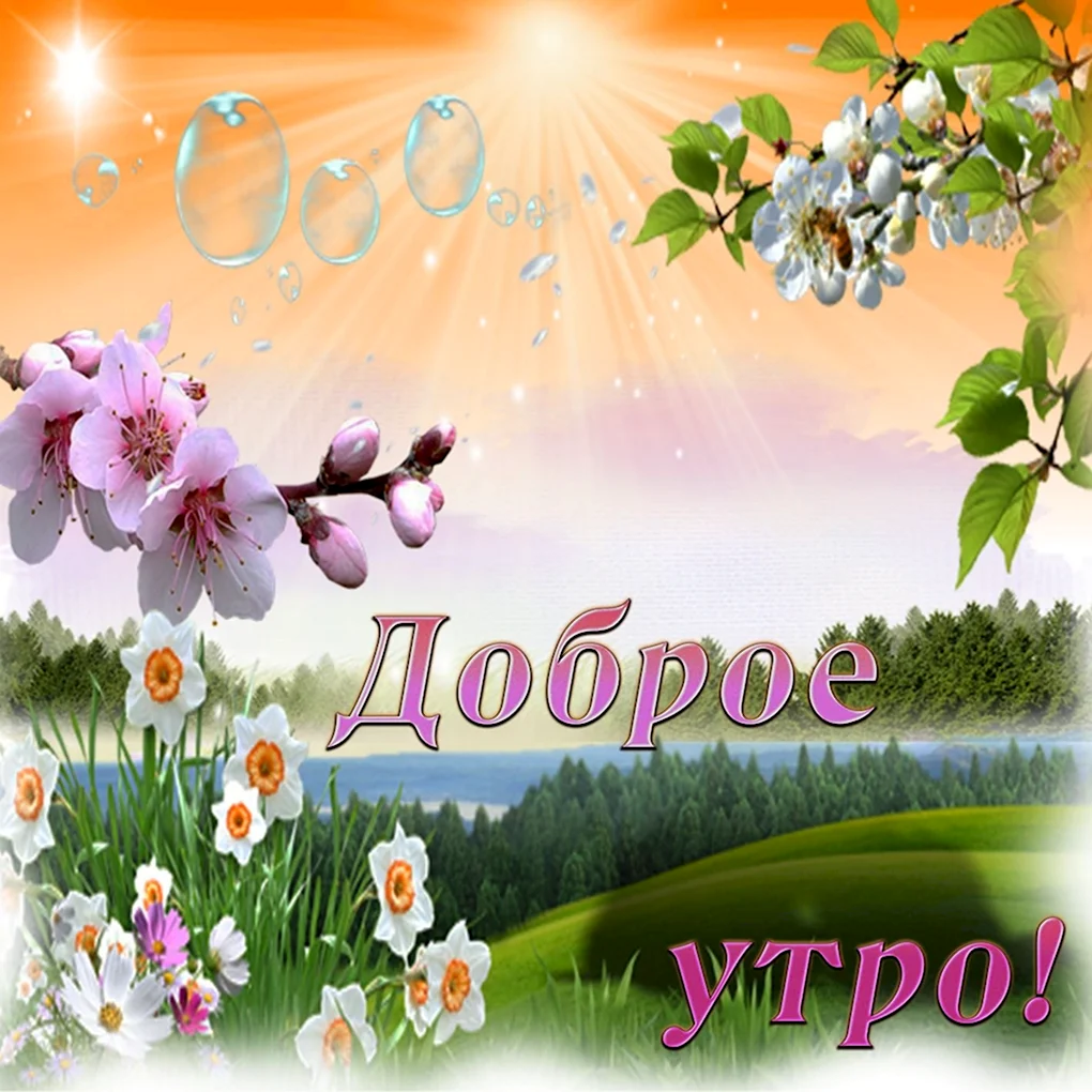 Открытки с добрым утром красивые