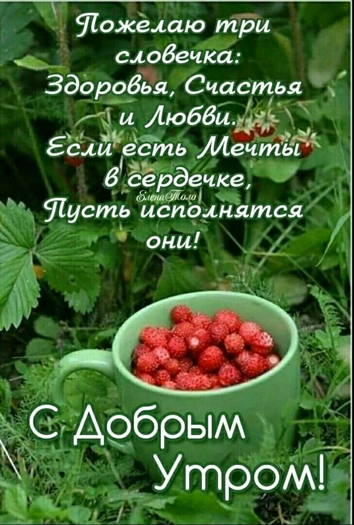 Открытки с добрым утром летние