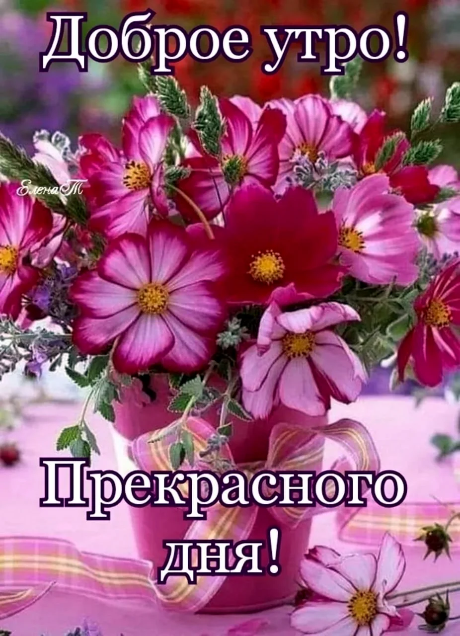 Открытки с добрым утром с пожеланиями