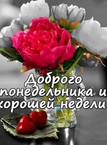 Открытки с понедельником