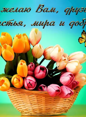 Открытки с пожеланиями