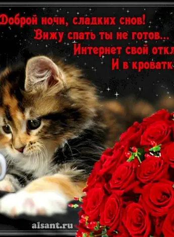 Открытки спокойной доброй ночи