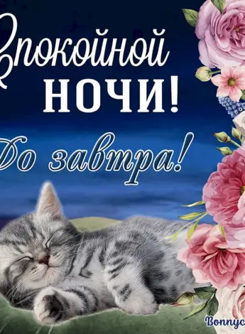 Открытки спокойной ночи