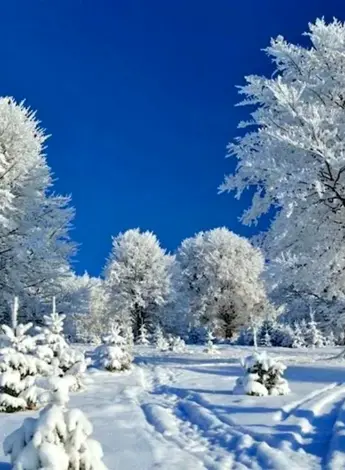 Первый день зимы