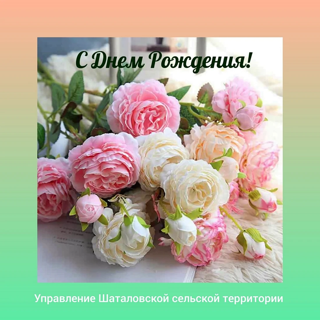 Пионные розы