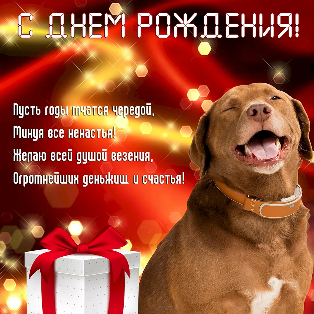 Поздравительные открытки с собаками